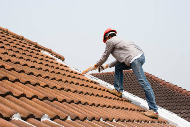 Roof Moss and Algae Removal in Orange Blossom, CA